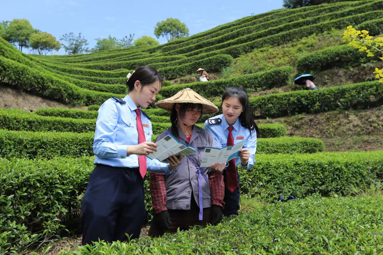 福建福州：部门联动传春风，多彩税宣惠民生