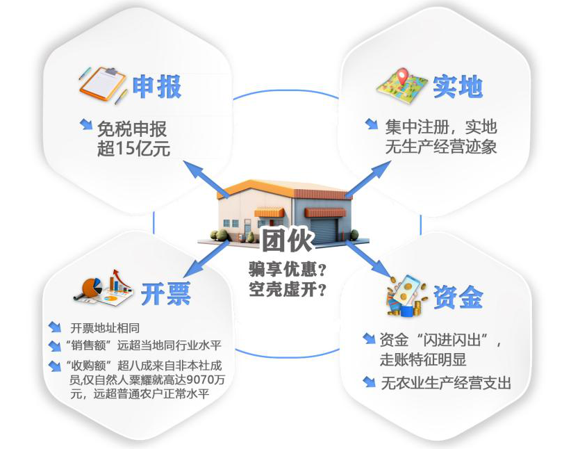 团伙作案骗享优惠 借壳虚开30亿元——空壳农民专业合作社骗享涉农税收优惠政策虚开增值税普通发票被查处