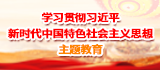 学习贯彻习近平新时代中国特色社会主义思想主题教育